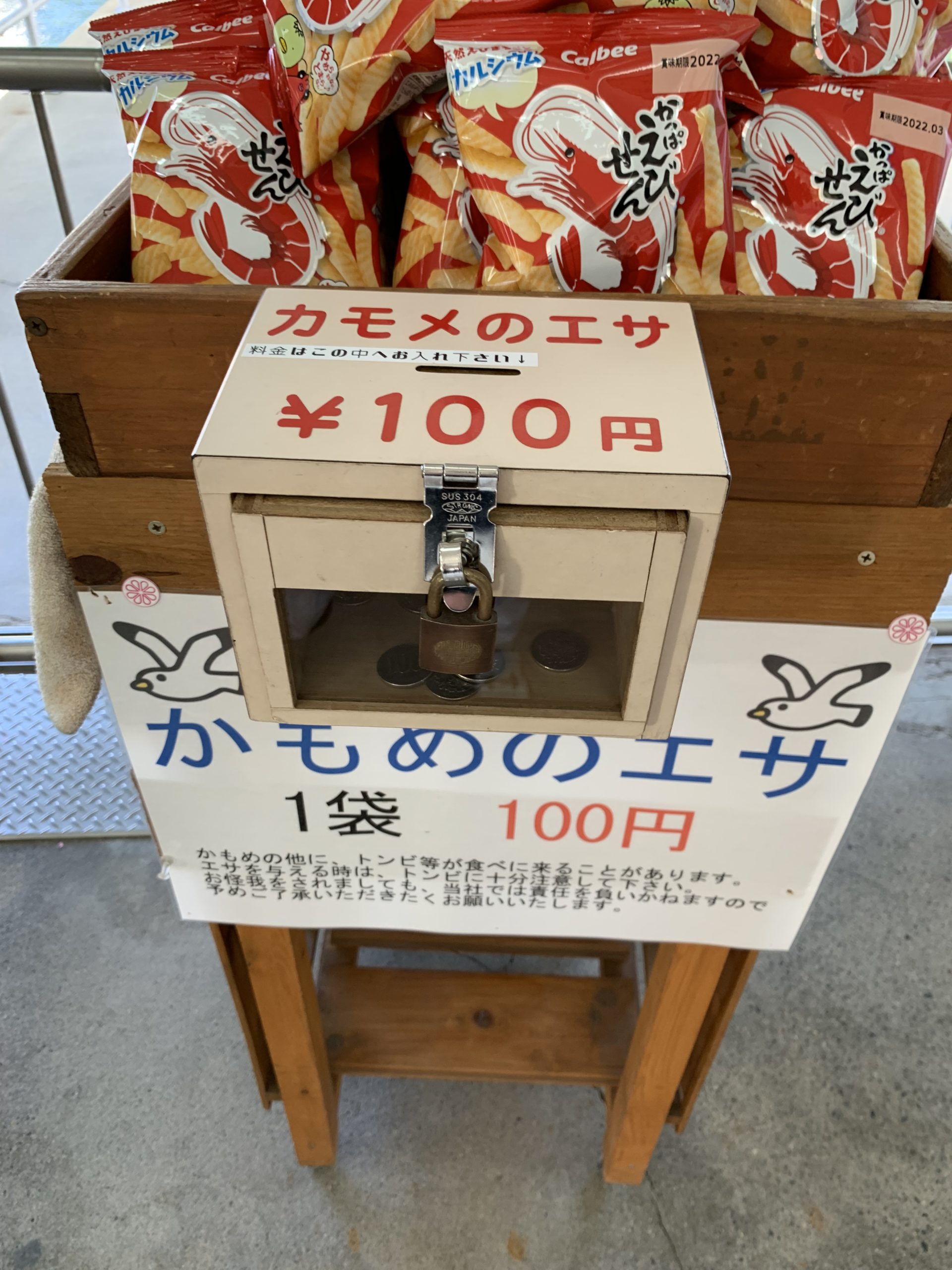 ステンレスストロング掛金　鳥の餌　悪戯防止 安心安全　南京錠