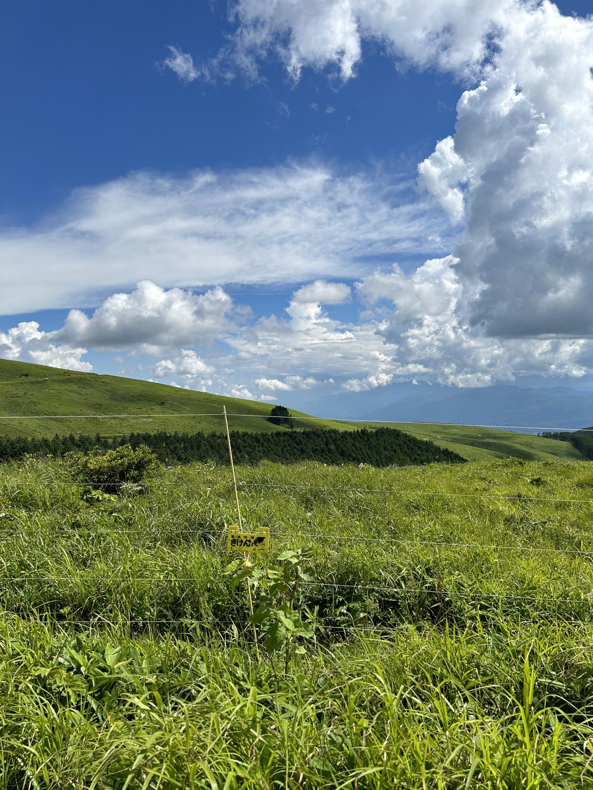 長の資質・リーダー像
