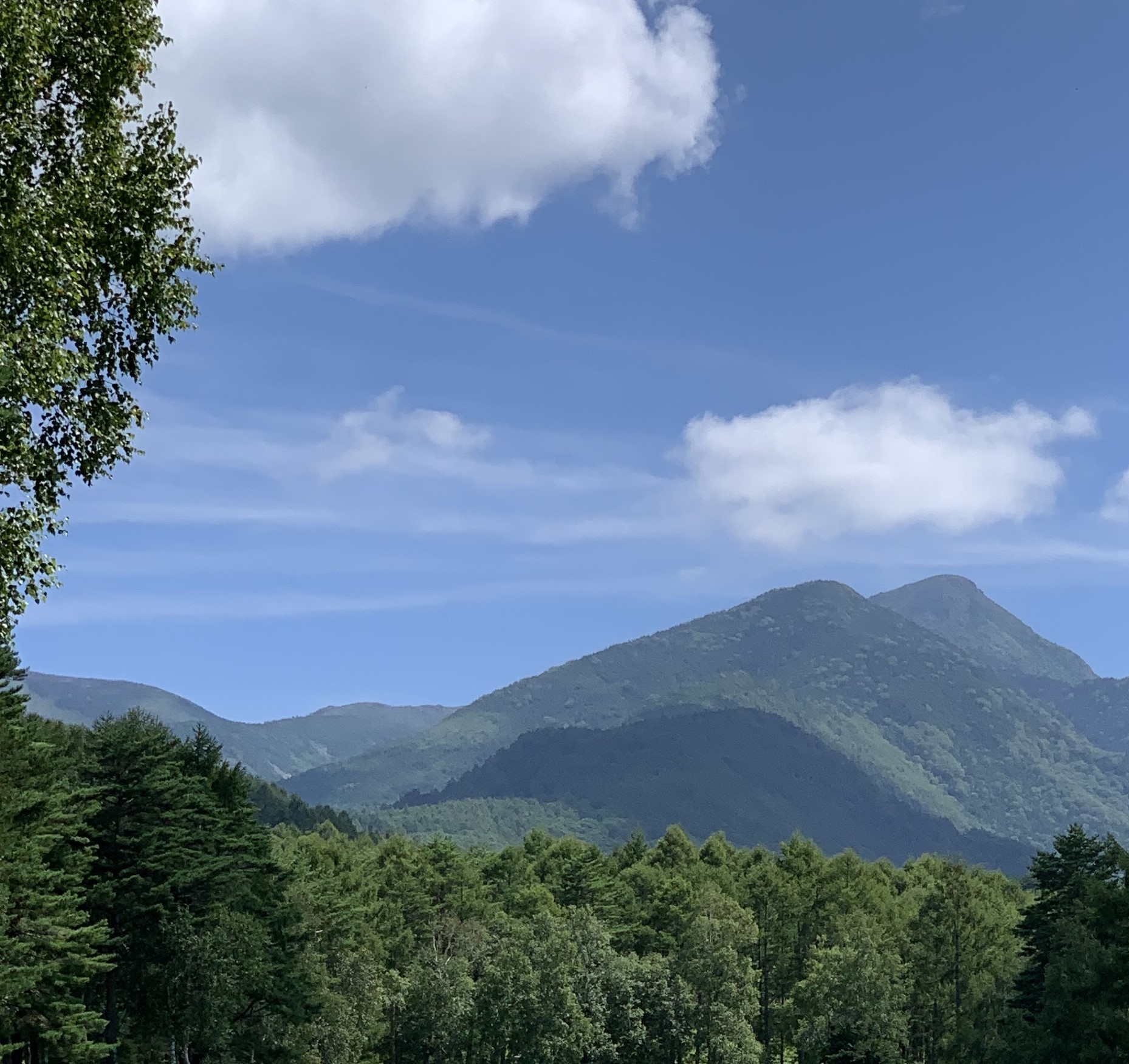 習慣　自分ノート　早寝早起き　弱者が強者に勝つ　挨拶　返事　後始末