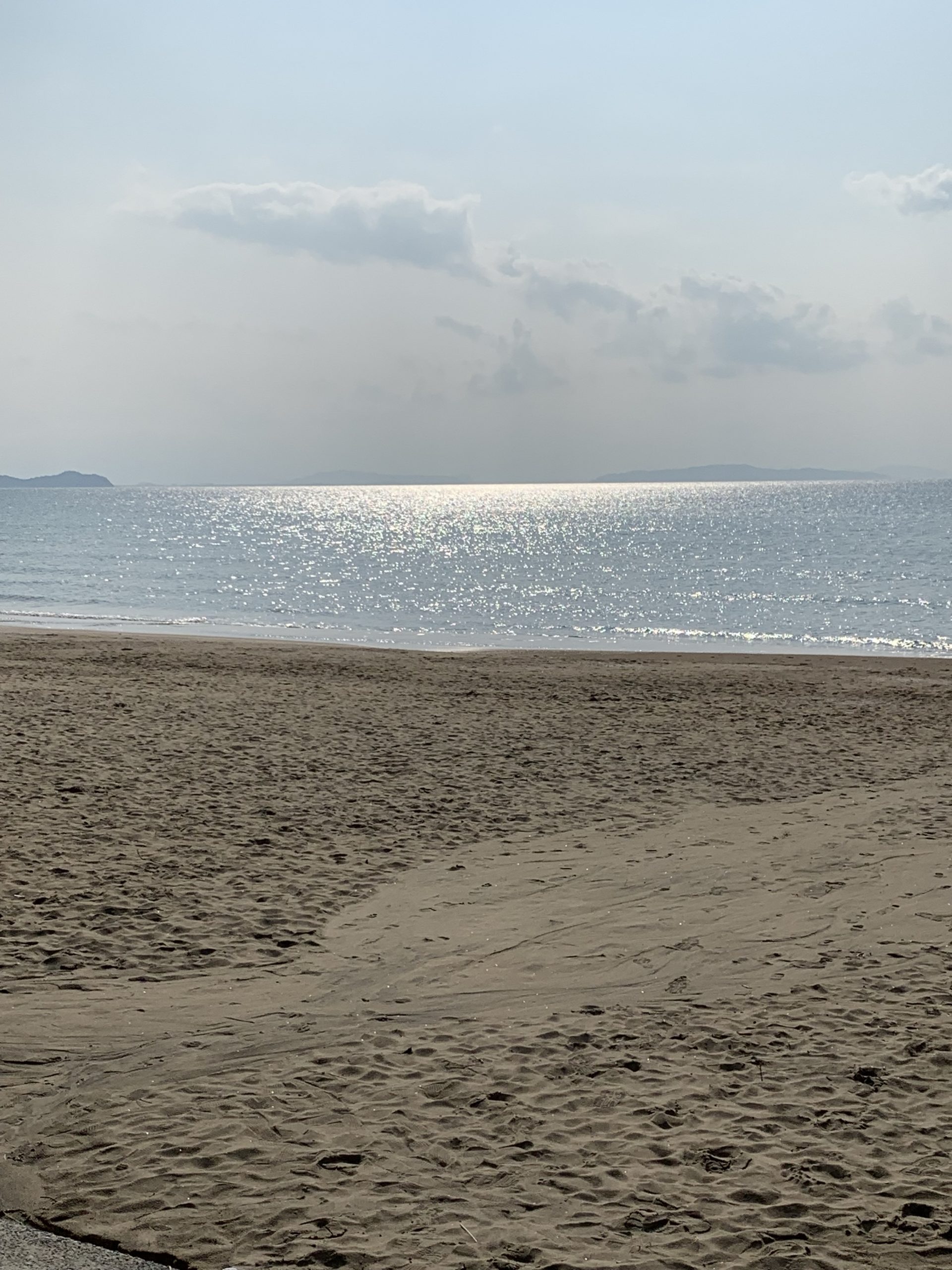 新年　お見舞い　ストロング金属株式会社