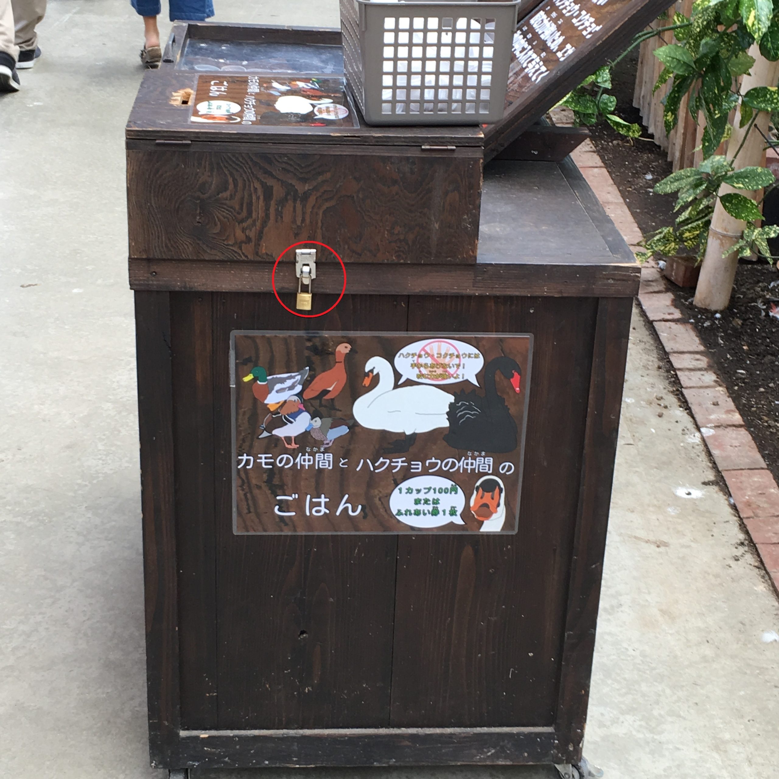 ストロング掛金　動物園　餌箱　　釣銭防犯　　南京錠　