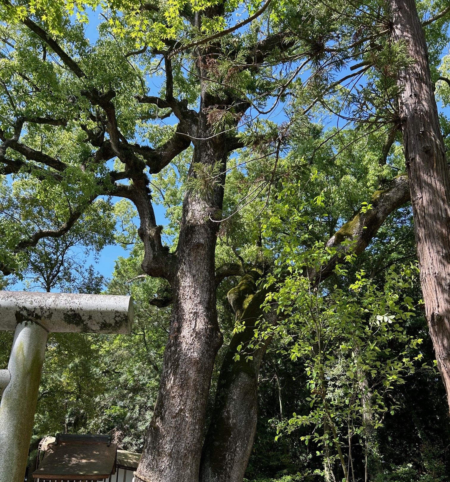 神社　ありがとう　ストロング金属　一生懸命　相手の為に
