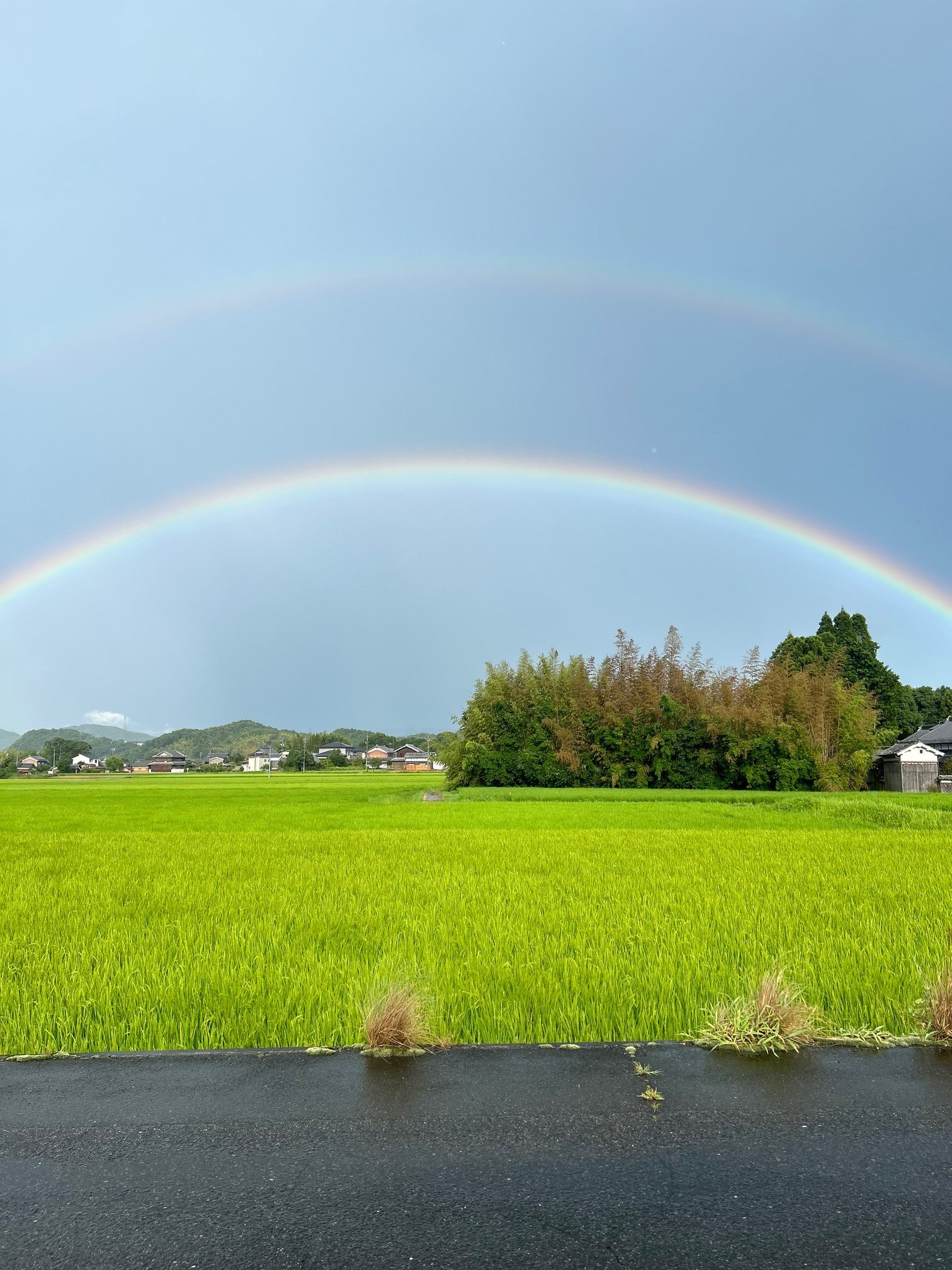 有難う　幸せ　ストロング金属　実践